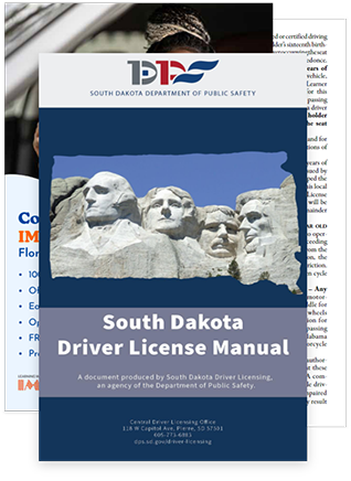 DOWNLOAD SD DRIVER'S MANUAL